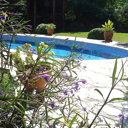Dag Manzarasi Ortaca (Mugla)