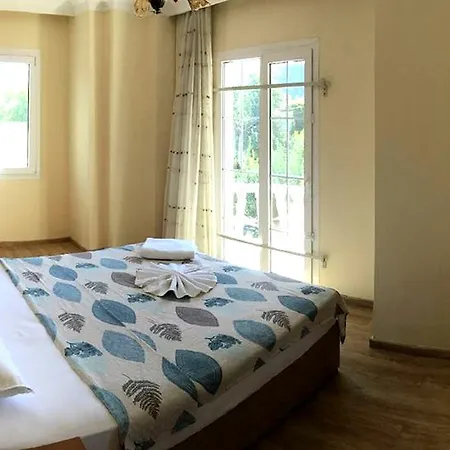 Dag Manzarasi Villa *